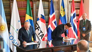 El verde como pasaporte: MERCOSUR-EFTA y lo que nos exige el mundo