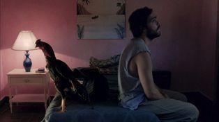 Como en la serie: detuvieron a Esculapio, narco y promotor de riñas de gallos