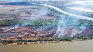 Incendios en humedales del Paraná: alertan por pérdida de fertilidad