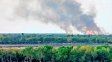 Incendios en el Delta: advierten por el daño irreversible en la flora y fauna