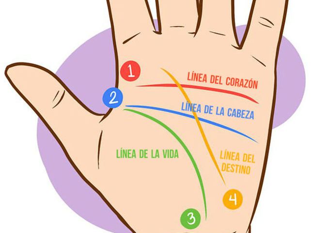 ¿Qué revela tu palma de ti?
