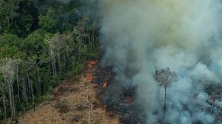 Brasil prohíbe las quemas controladas durante 60 días 