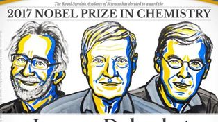 Nobel de Química para tres científicos que desarrollaron un método para ver mejor