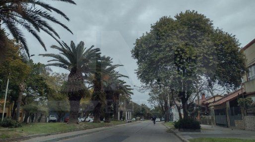 SMN: persiste el alerta amarilla por vientos para una parte de Entre Ríos
