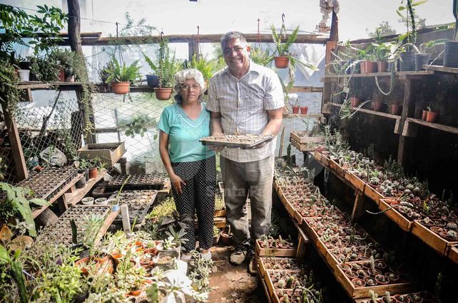 Sobreponerse a las adversidades y crear un mundo propio lleno de vida