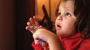 El Poder Ejecutivo retiró de Diputados el veto a la Ley de Autismo