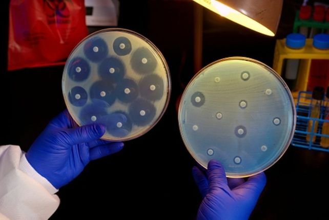 superbacterias. Advierten que es urgente desarrollar nuevos antibióticos debido a su peligrosidad.