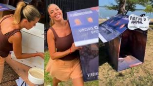 Virginia Gallardo recicló sus carteles de campaña y construyó cuchas para perros