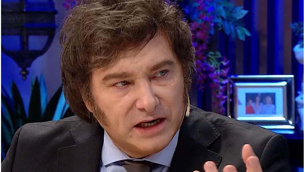 Javier Milei Hará Un Plebiscito Si El Congreso Rechaza DNU