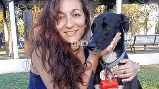 Tras el brutal ataque de un pitbull en la Costanera, buscan al dueño del perro que se fugó: Pudo haber matado a un niño