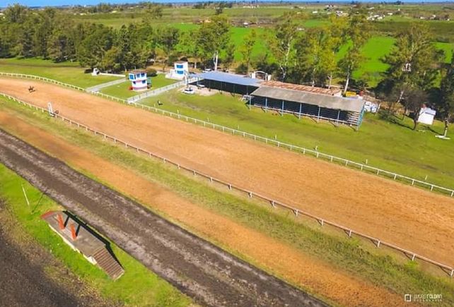 Turf: La actividad pide el regreso a las pistas  