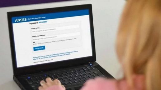 Anses: cómo registrar el detalle de los aportes realizados