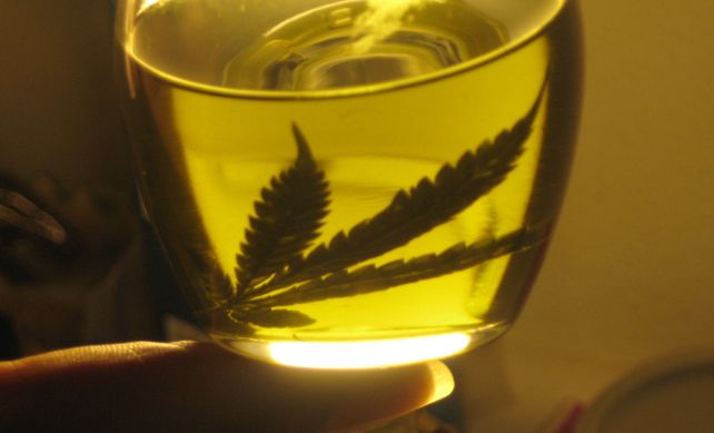 Cannabis. Piden incorporar el uso del aceite al sistema de salud provincial.