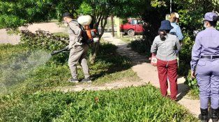 En la provincia de Formosa murieron cinco personas por dengue. El total acumulado de casos asciende a 9.392 y los serotipos circulantes son DEN 1 y DEN 2