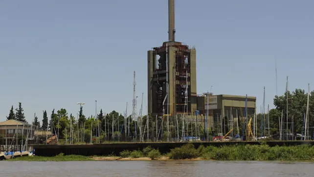 Encontraron un ciervo muerto a la altura de Usina Sarmiento