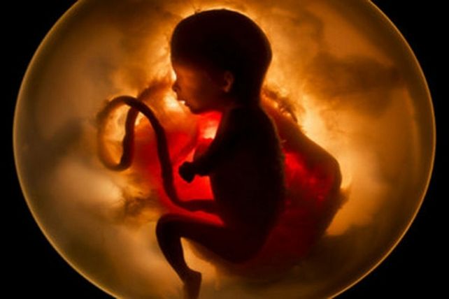genes. Es posible corregir defectos genéticos de enfermedades hereditarias.
