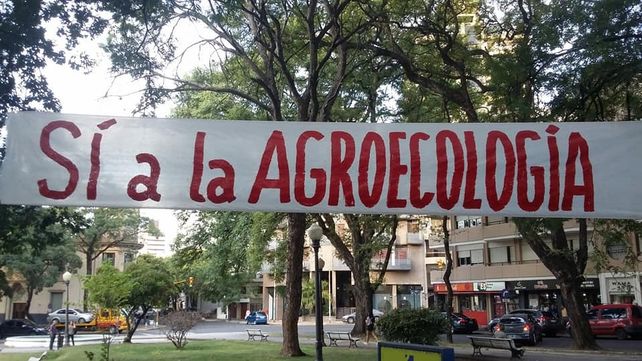 Foto gentileza Asamblea Paraná sin Agrotóxicos. 