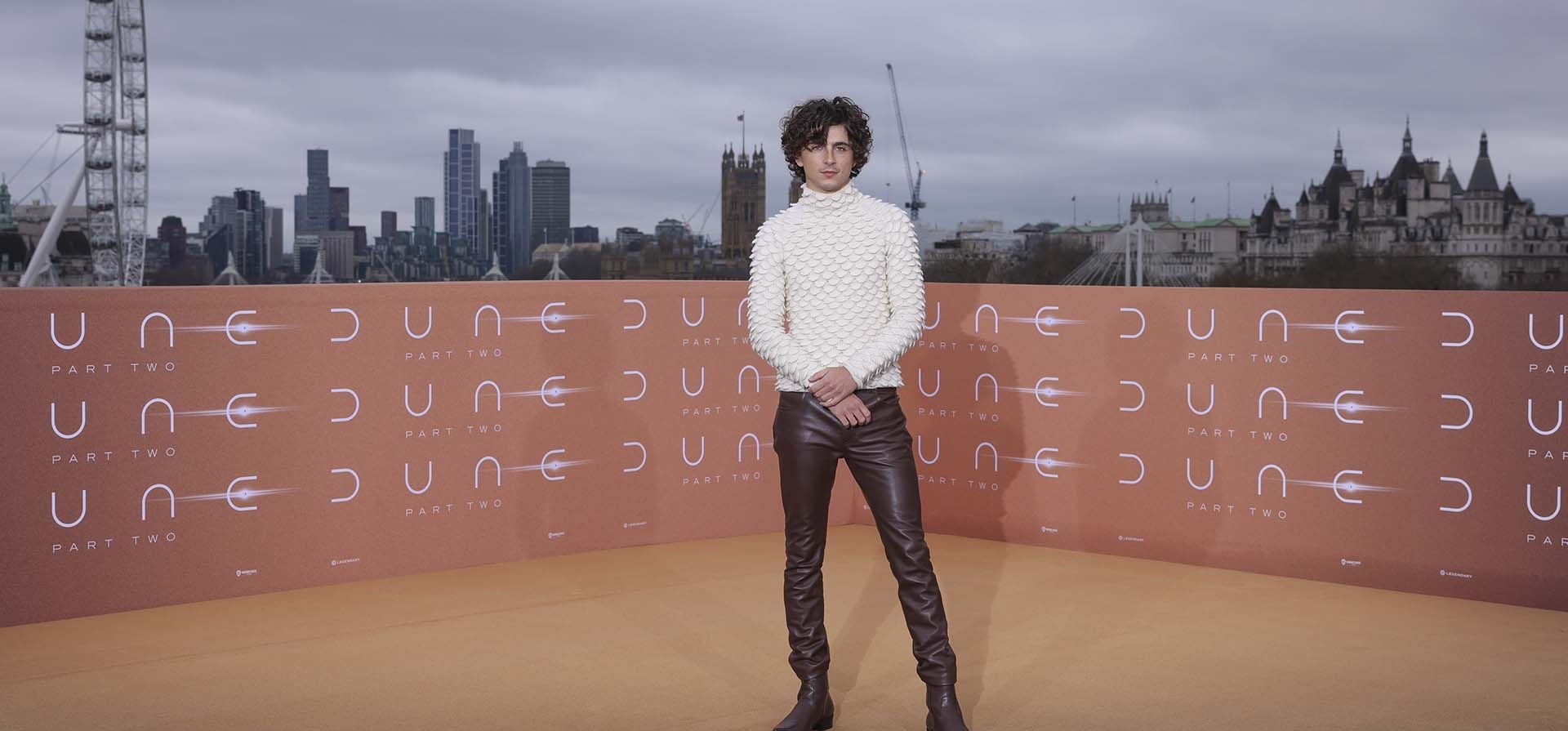 Timothee Chalamet posa para los fotógrafos en la sesión fotográfica de la película Timothee Chalamet posa para los fotógrafos en la sesión fotográfica de la película