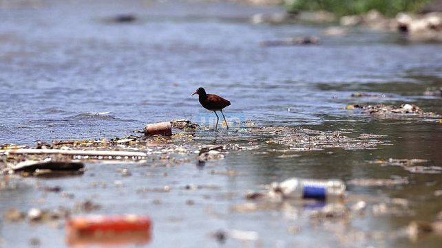 Falta de saneamiento del río impacta en la salud y ambiente