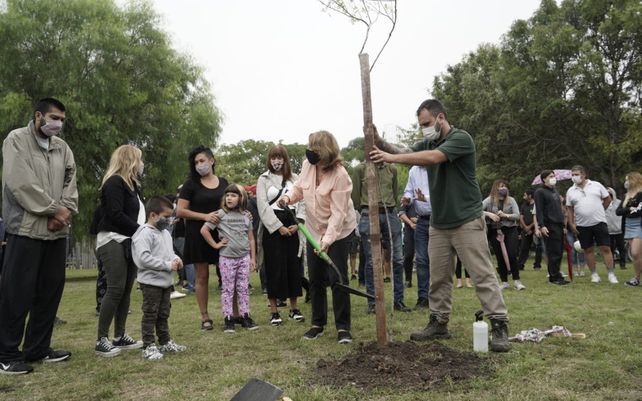 Memoria, verdad y justicia: un árbol por Juane Basso, símbolo de la lucha persistente
