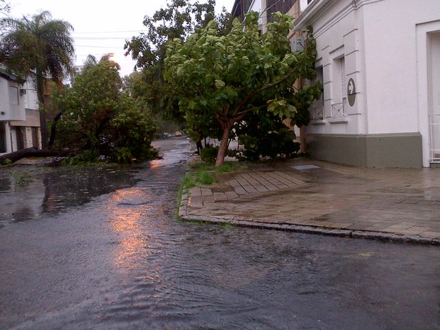 En Chacabuco y Alberdi