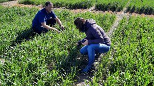Planificar e innovar: las claves para arrancar la campaña de invierno