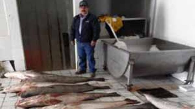 Pescadores furtivos realizan la pesca en la región del golfo de California