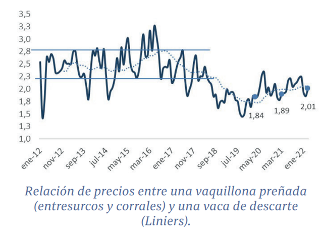 Ganadería: buen momento para reponer vientres