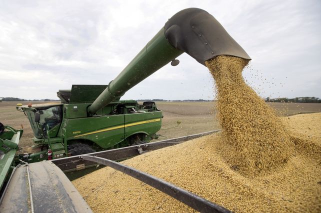 Usda recortó a 55 millones de toneladas la producción de soja de la Argentina