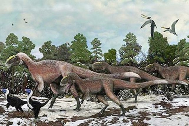 Descubren en China un dinosaurio con plumas