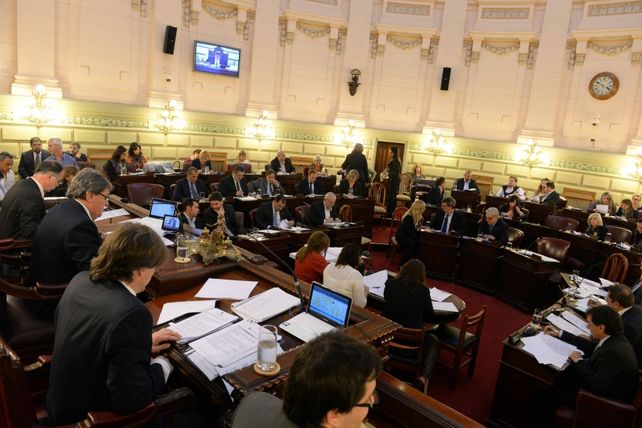 Diputados dio media sanción al “Día provincial de lucha contra la violencia institucional”