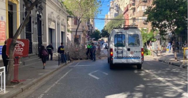 Una dotación de Defensa Civil (Coem) llegó al lugar para remover el tronco y las ramas que cayeron sobre la calzada.