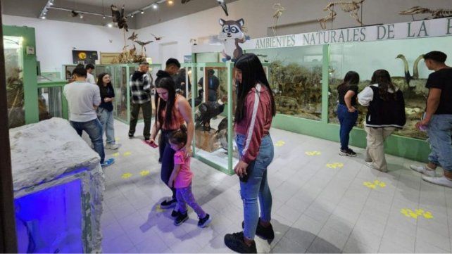 Buscan garantizar la inclusión educativa.