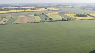 Desde Fuerza Ancestral Indígena aseguraron que muchas tierras estaban en peligro.