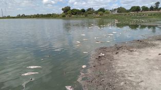 ¿Qué pasa en la laguna Juan de Garay de Santo Tomé?