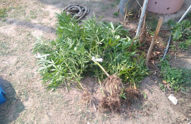 El allanamiento realizado en Rinc&oacute;n.