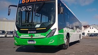 Argentina apunta a tener flotas de colectvos a GNC en un futuro cercano.