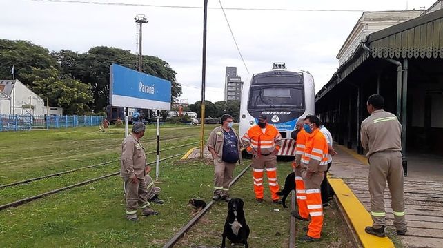 A las 13 se retoma el servicio de tren de Paraná a Colonia Avellaneda