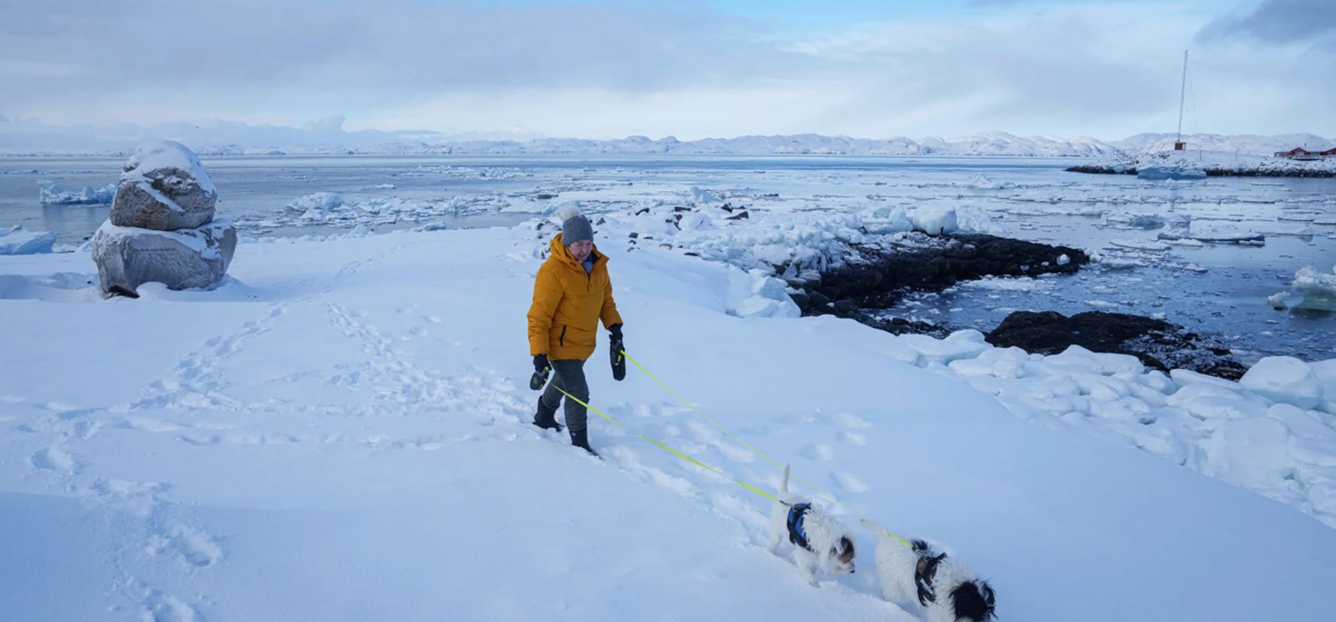 Una mujer camina con sus perros por la nieve en una playa, Nuuk, Groenlandia. Fotografía: Evgeniy Maloletka/AP Una mujer camina con sus perros por la nieve en una playa, Nuuk, Groenlandia. Fotografía: Evgeniy Maloletka/AP