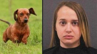 Una chica de 23 años fue presa por un video de sexo con su perrito