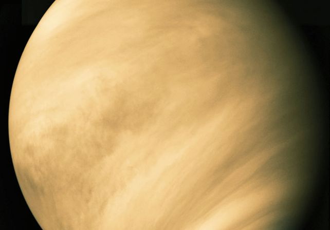 Venus se verá en todo el país en el centro de la constelación de cáncer