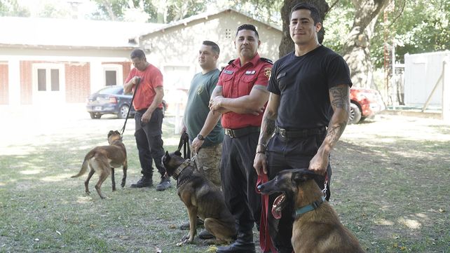 Tres de los cinco perros que forman parte de la Unidad Canina de Bomberos Zapadores de Rosario