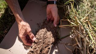 Impulso a la agricultura regenerativa a través de prácticas sustentables de vanguardia