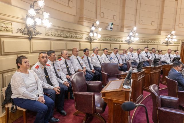 El diploma entregado por la Cámara de Senadores reconoce su compromiso