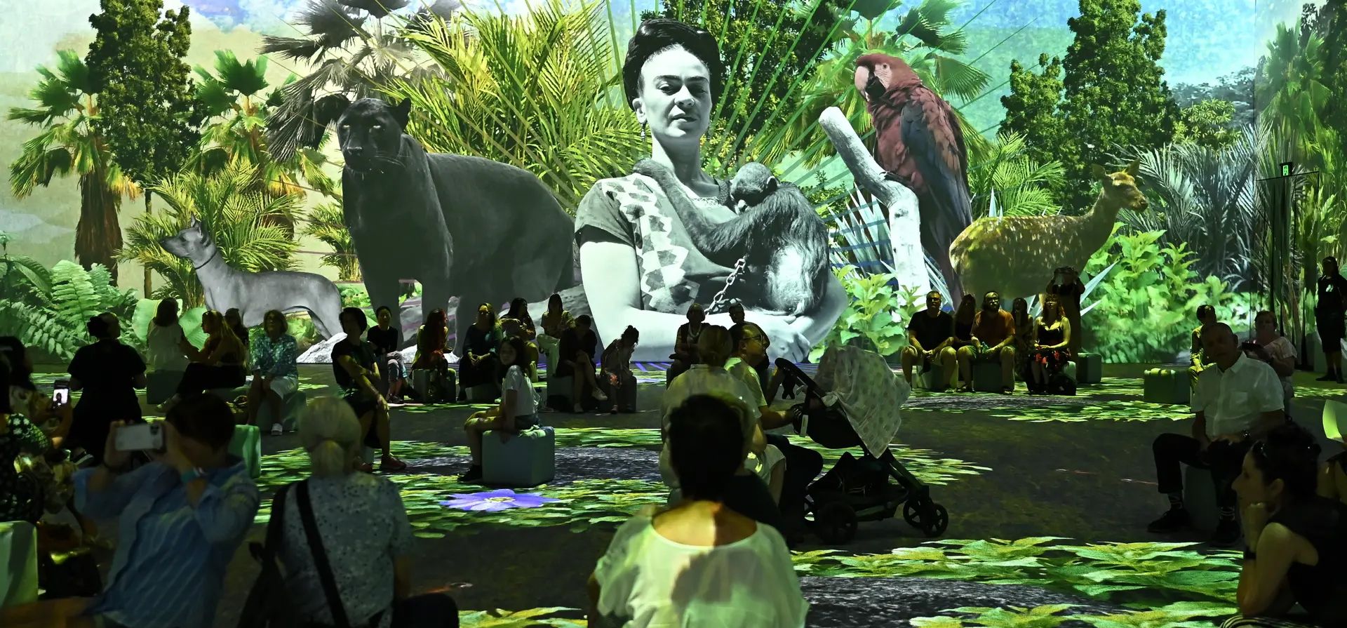 Sídney, Australia. La gente mira las proyecciones durante una vista previa de la exposición Frida Kahlo: The Life of an Icon, como parte del festival de Sydney. Fotografía: Steven Saphore/Agencia Anadolu/Getty Images