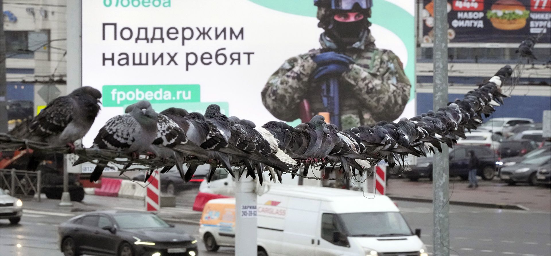 Las palomas se sientan en un cable cerca de una cartelera electrónica que muestra un anuncio de recaudación de fondos Pobeda (Victoria) para equipos para los militares rusos movilizados que participan en la acción militar en curso en Ucrania, en San Petersburgo, Rusia, el miércoles 9 de noviembre de 2022. La valla publicitaria dice "Apoyemos a nuestros muchachos".