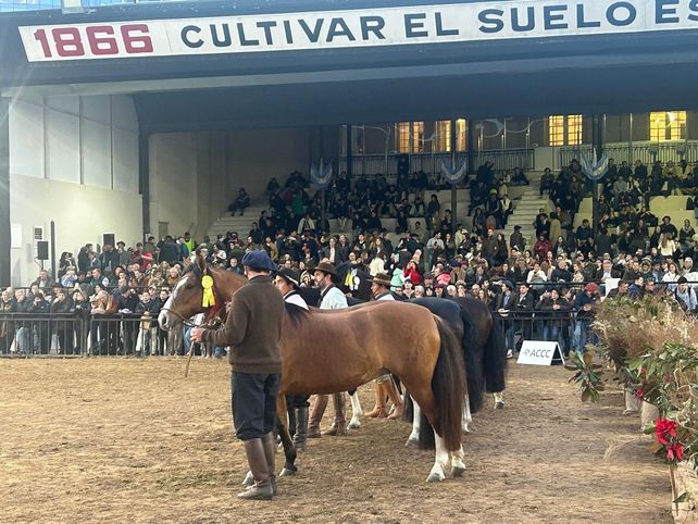La Rural prioriza la calidad por sobre la cantidad.