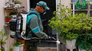 Dengue en Santa Fe: las dos modalidades de trabajo implementadas en barrios son fumigaciones espaciales y bloqueos.