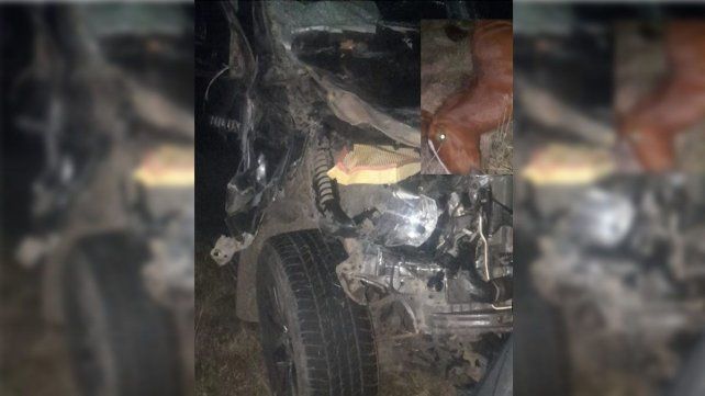 Una vez más un equino suelto por la irresponsabilidad de su propietario derivó en un accidente de transito y la muerte del animal. Ocurrió en San Salvador&nbsp;