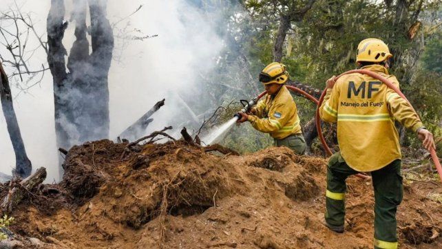 El Servicio Nacional de Manejo del Fuego (SNMF) reportó que tres departamentos de Entre Ríos reportaron incendios activos. Se tratan de Gualeguay